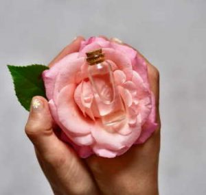 rose water